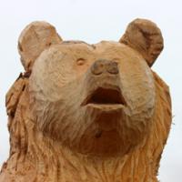 голова медведя дерево